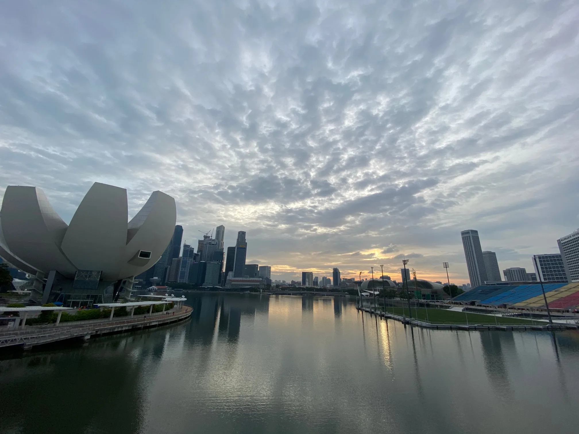 dependent pass singapore